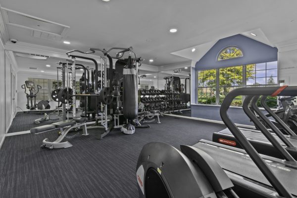Modern gym with treadmills, weight machines, and large windows providing natural light. Great for fitness enthusiasts.