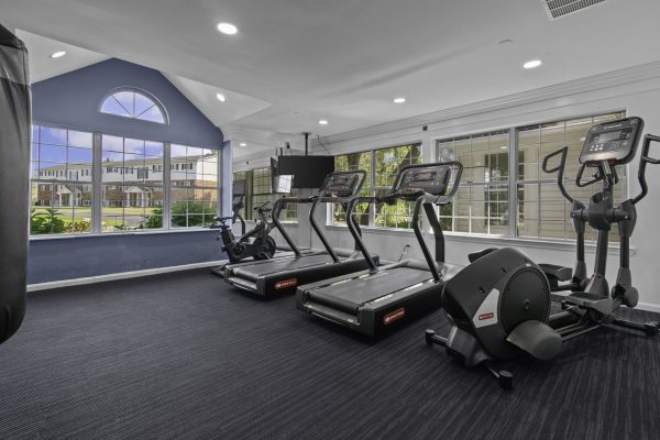 Modern gym interior with treadmills and elliptical machines near large windows, offering a bright workout environment.