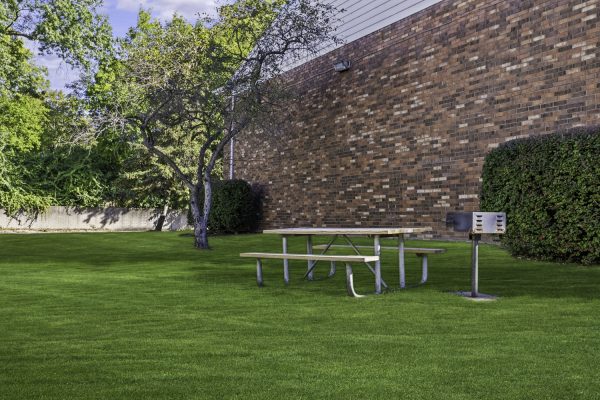 Picnic table and grill in a green park by a brick wall, surrounded by trees and bushes under a blue sky.