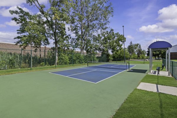 Outdoor tennis court with blue and green surface surrounded by trees under a clear blue sky.