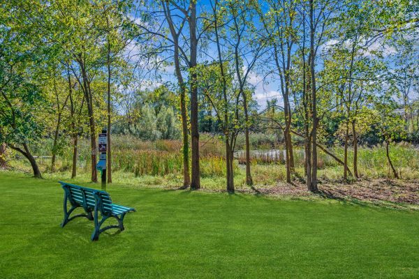 Park scene with a bench on green grass, surrounded by trees and a picturesque pond in the background.