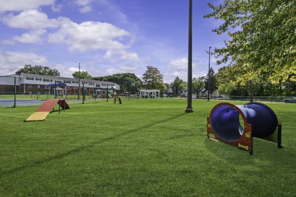 Dog park with agility equipment on a sunny day, featuring a tunnel and ramp near a playground and building.