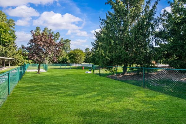 Dog park with green grass, trees, and fence under blue sky. Perfect space for pets to play and enjoy outdoors.
