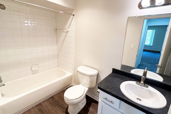 Modern bathroom with a white bathtub, toilet, dark countertop, and large mirror. Bright and clean space.